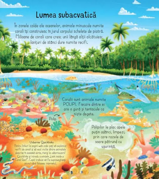 Afla totul despre un recif de corali (Usborne) – Carte pentru copii