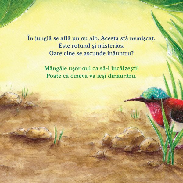 Ajuta-ma sa invat culorile – Carte pentru copii