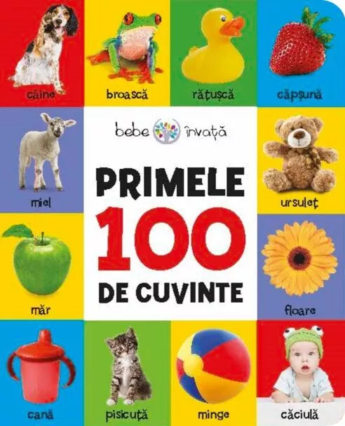 Bebe invata. Primele 100 de cuvinte
