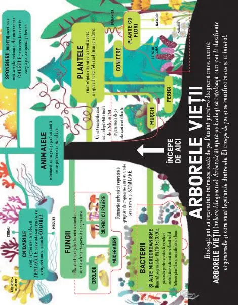 Biologie (Usborne) – Carte pentru copii