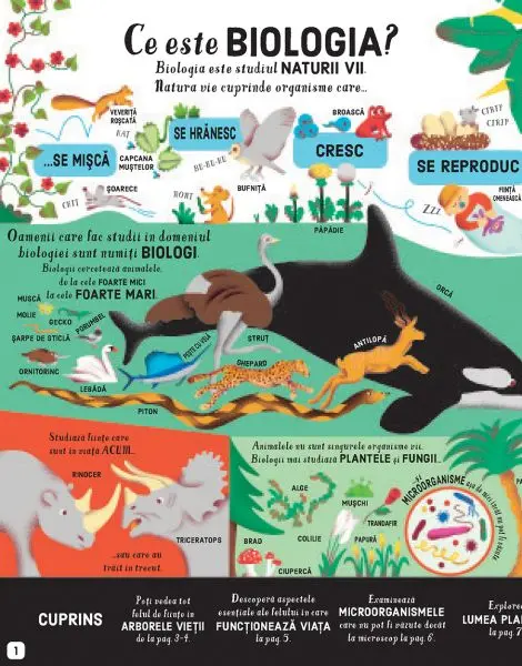 Biologie (Usborne) – Carte pentru copii