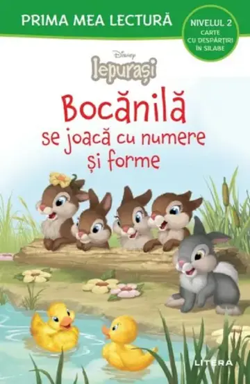 Bocanila se joaca cu numere si forme