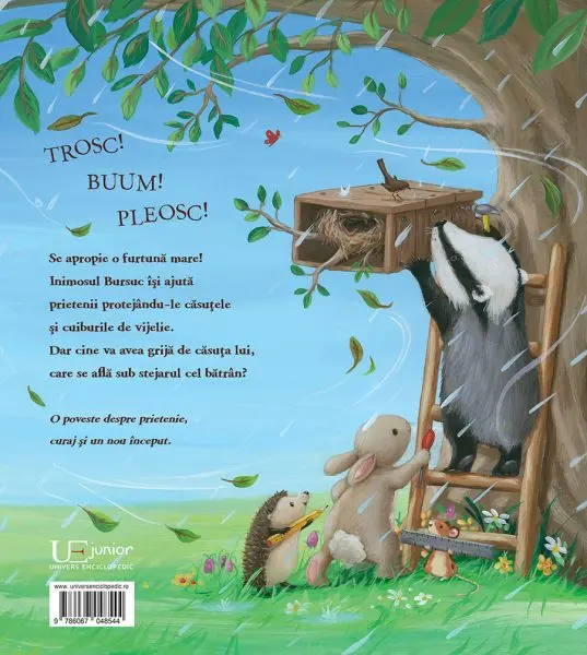 Bursucul si marea furtuna – Carte pentru copii