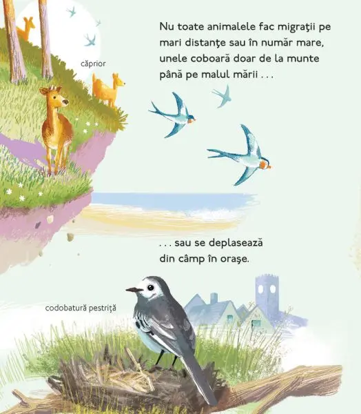 Calatorii uimitoare ale animalelor – Carte pentru copii