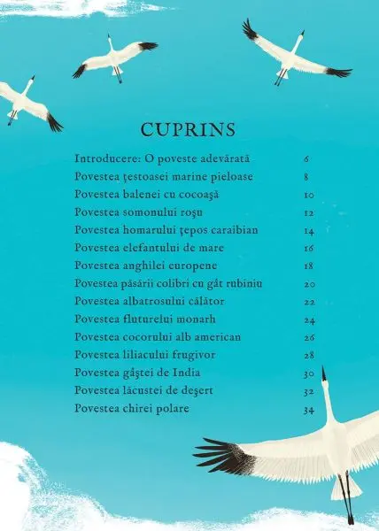 Calatorim atat de departe... (Quatro) – Carte pentru copii