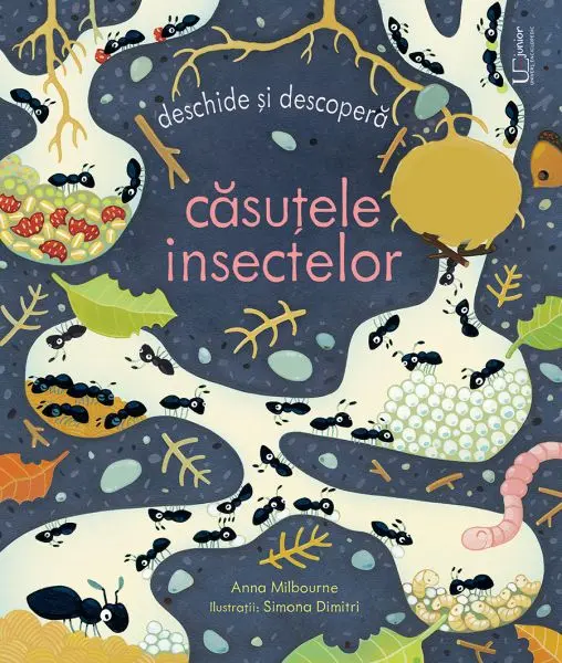 Casutele insectelor (Usborne)