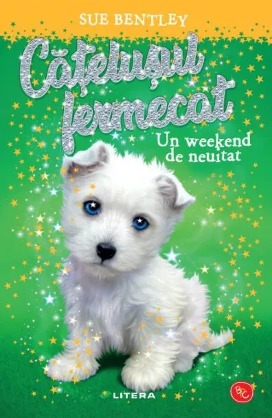 Catelusul fermecat. Un weekend de neuitat – Carte pentru copii