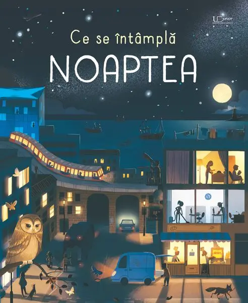 Ce se intampla noaptea? (Usborne)