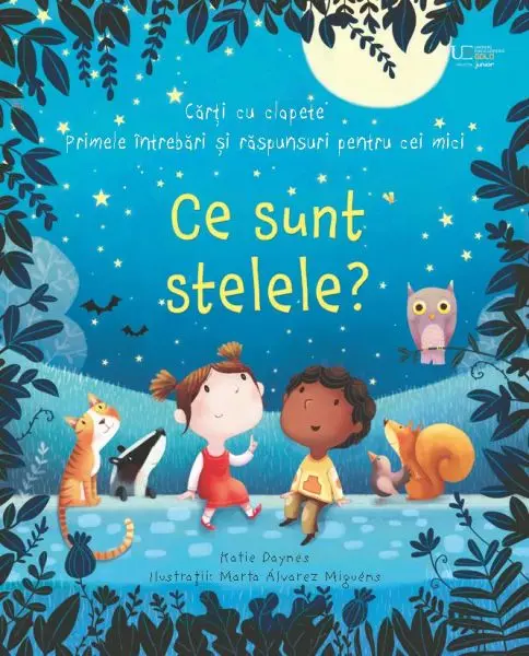 Ce sunt stelele? (Usborne)