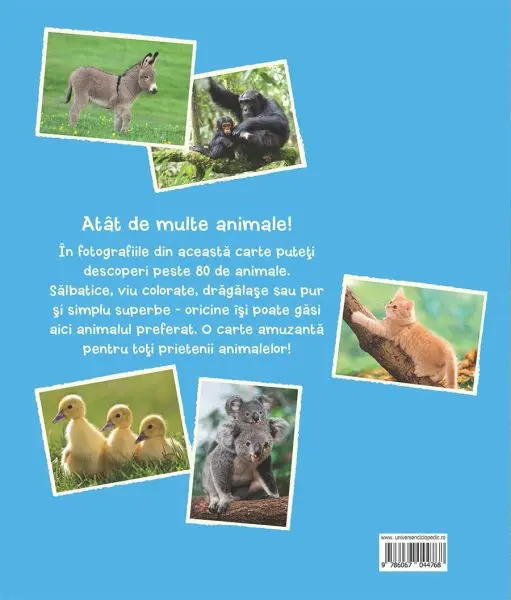 Cele mai indragite animale – Carte pentru copii