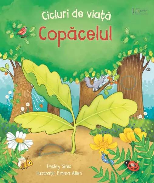 Cicluri de viata. Copacelul (Usborne)