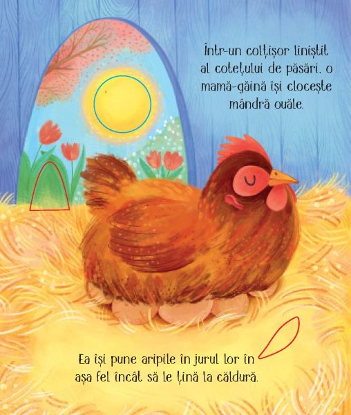 Cicluri de viata. Puisorul (Usborne) – Carte pentru copii