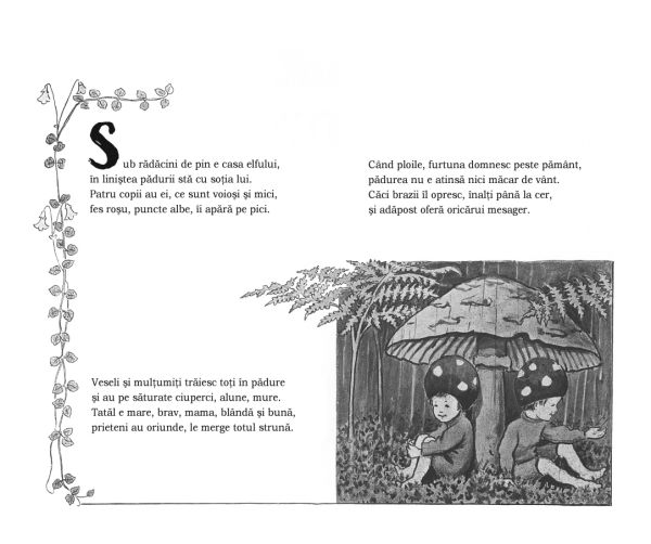 Copiii Padurii – Carte pentru copii