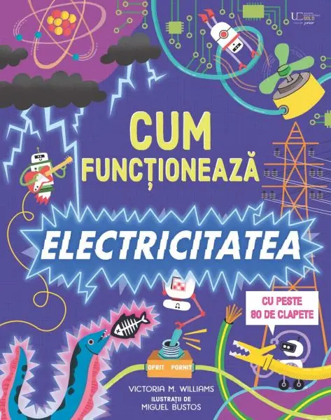 Cum functioneaza electricitatea (Usborne)