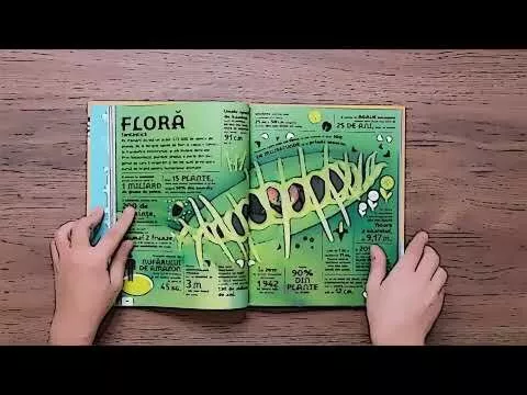 Enciclopedia lumii in numere – Carte pentru copii