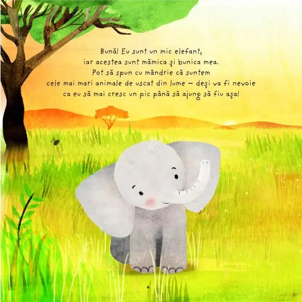 Familii din natura: micul elefant (Quarto) – Carte pentru copii