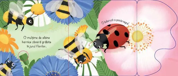 Gandacei si gaze - clapete (Usborne) – Carte pentru copii