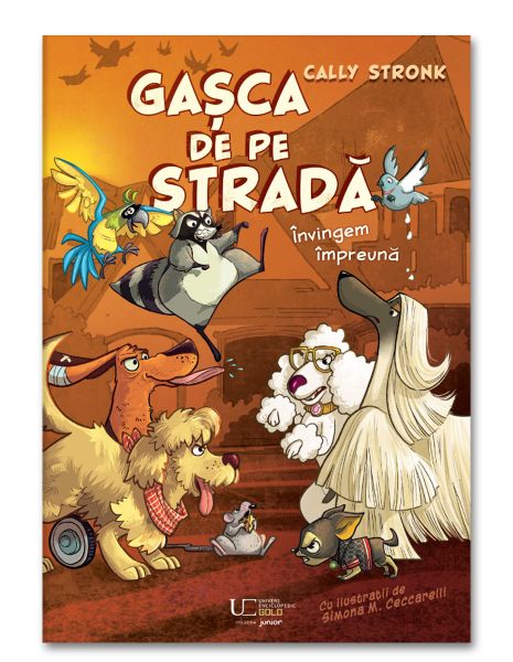 Gasca de pe strada. Invingem impreuna