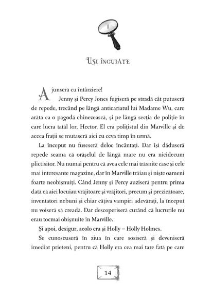 Holly Holmes. Rezolvarea cazului triunghiului rosu – Carte pentru copii
