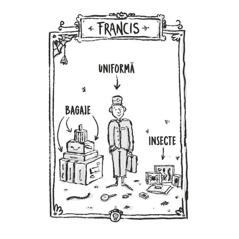 Hotelul Talmeș-Balmeș. Misterul verzei de Bruxelles – Carte pentru copii