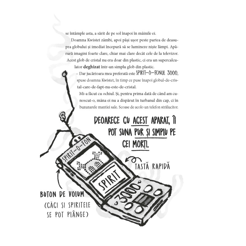 Hotelul Talmeș-Balmeș. Misterul verzei de Bruxelles – Carte pentru copii