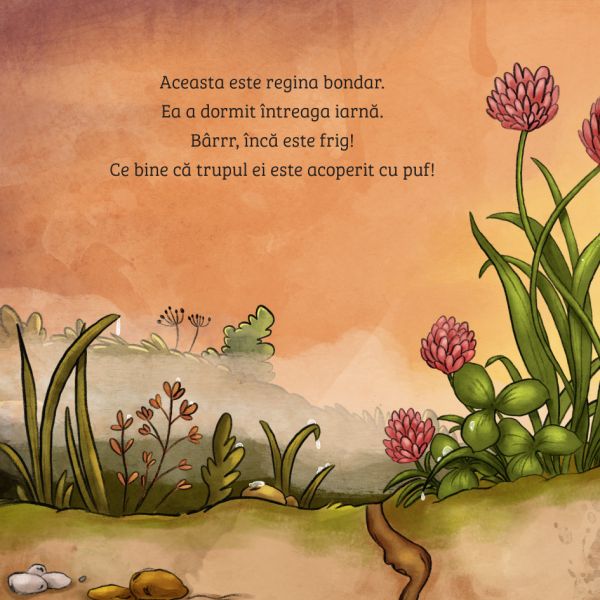 Invat despre natura. Regina bondar – Carte pentru copii