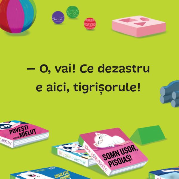 Invat sa fac ordine – Carte pentru copii