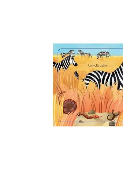 Leul curios (Usborne) – Carte pentru copii