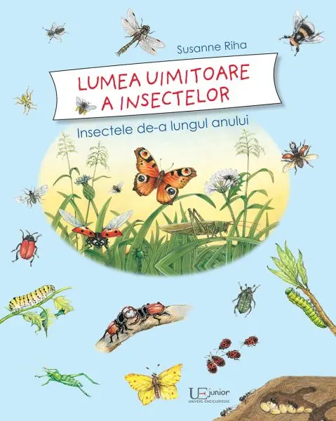 Lumea uimitoare a insectelor