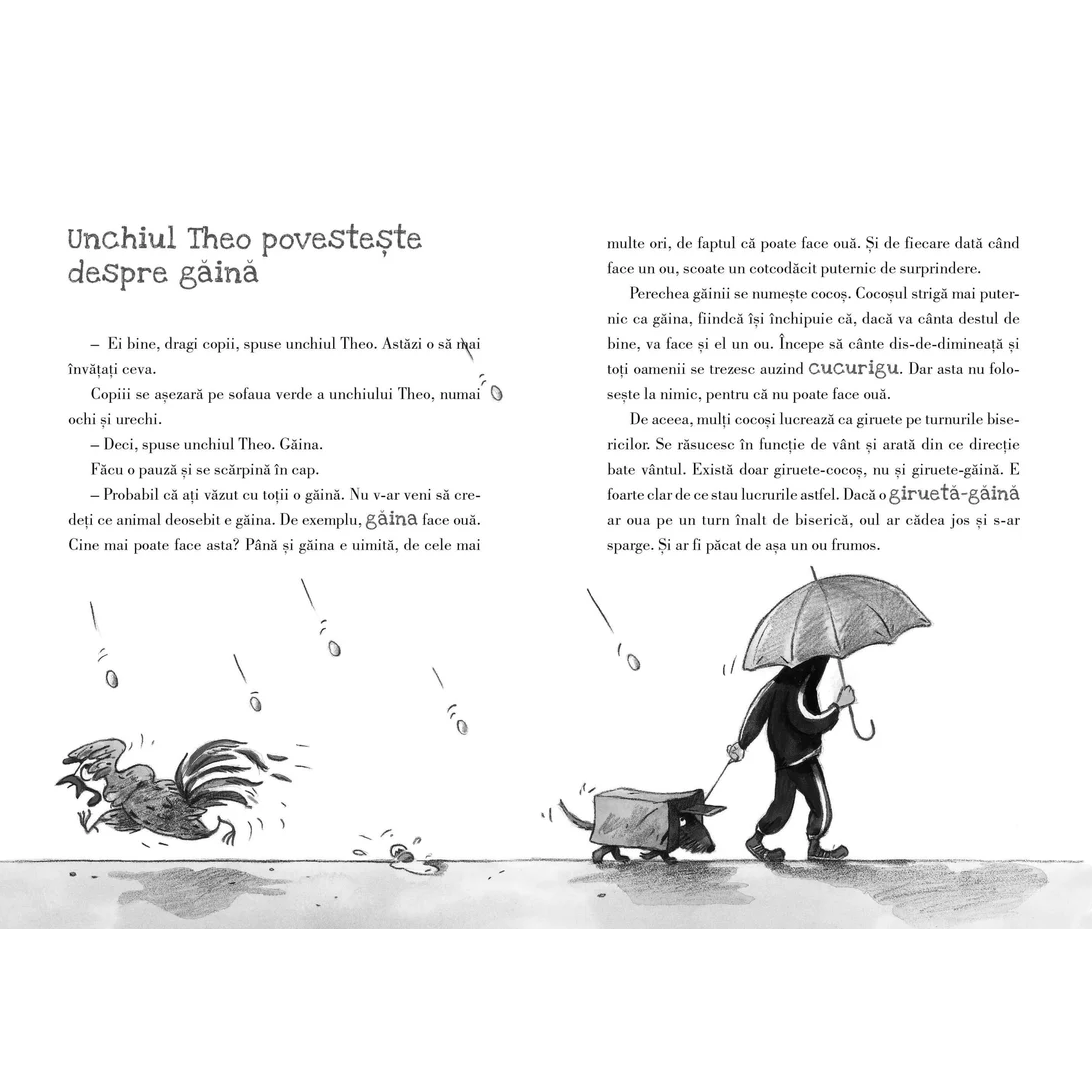 Magarul e o zebra fara dungi, Martin Ebbertz – Carte pentru copii