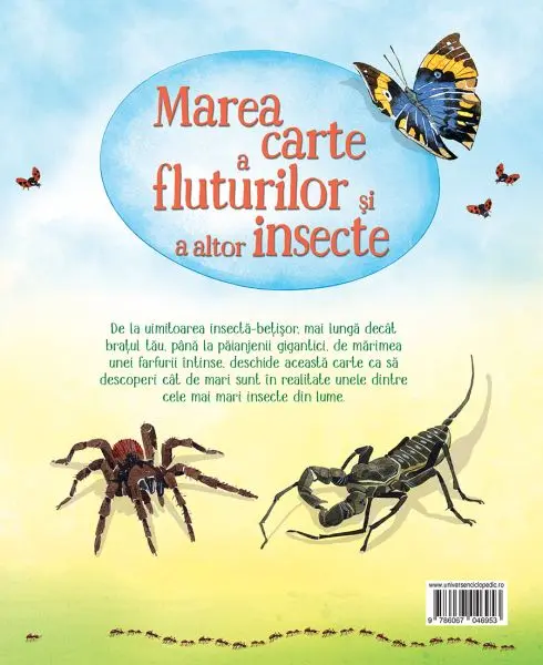 Marea carte a fluturilor si a altor insecte (Usborne) – Carte pentru copii