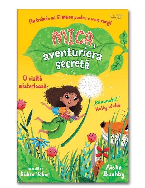 Mica, aventuriera secreta: o vizita misterioasa (Usborne)