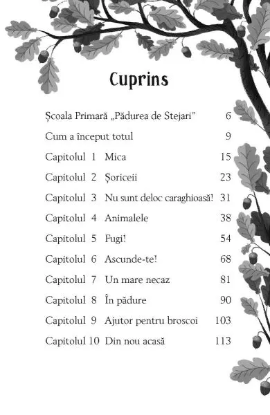 Mica, aventuriera secreta (Usborne) – Carte pentru copii