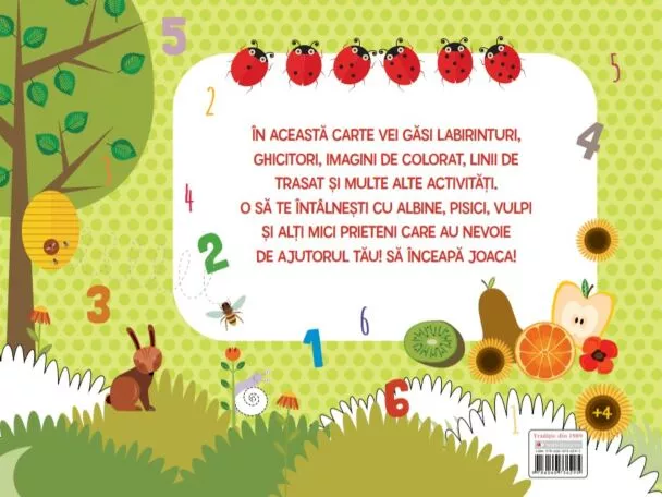 Ne jucam si invatam. Cartea de activitati pentru copii isteti