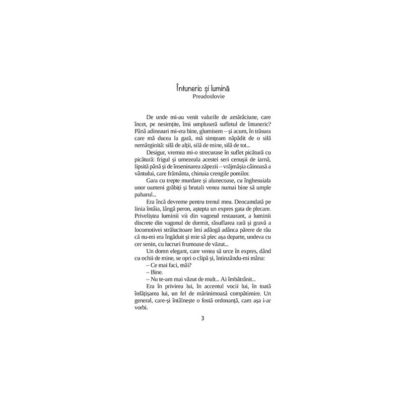 Niculăiță Minciună - Ioan Alexandru Brătescu-Vionești – Carte pentru copii