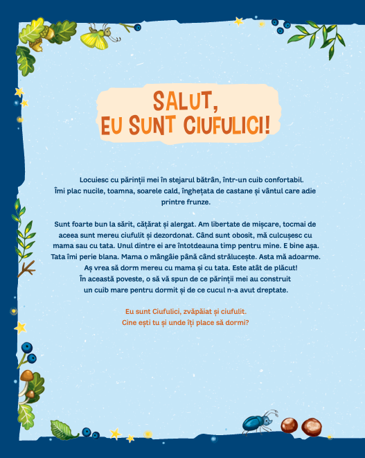 Noapte bună, dragă Ciufulici! – Carte pentru copii