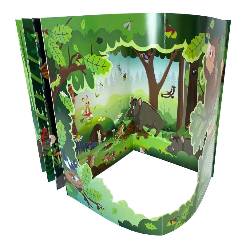 O lume minunată - Aventuri în pădure - Zaza - veverița descoperă pădurea – Carte pentru copii