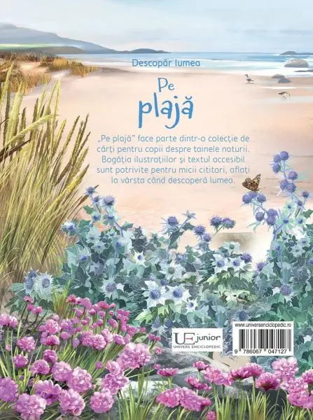 Pe plaja (Usborne) – Carte pentru copii