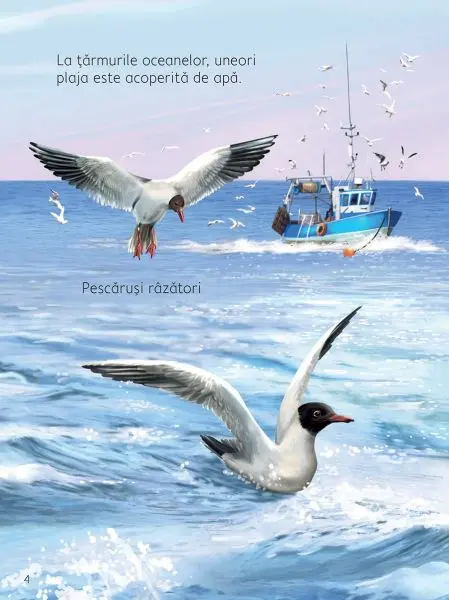 Pe plaja (Usborne) – Carte pentru copii