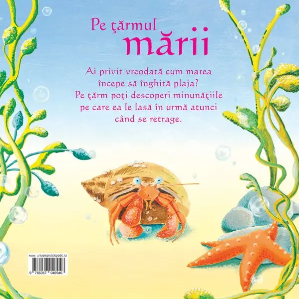 Pe tarmul marii (Usborne) – Carte pentru copii