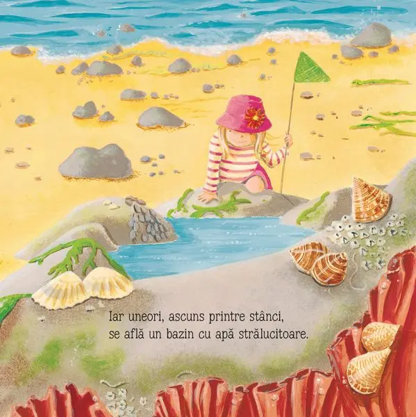Pe tarmul marii (Usborne) – Carte pentru copii