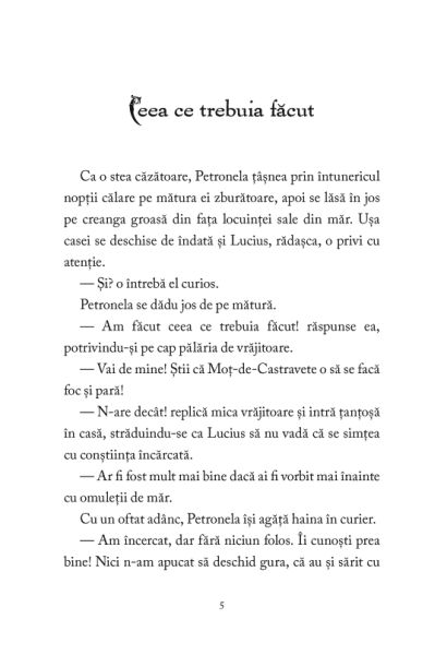 Petronela Piure-de-Mere. Zbor de gaste si casa de vrajitoare – Carte pentru copii