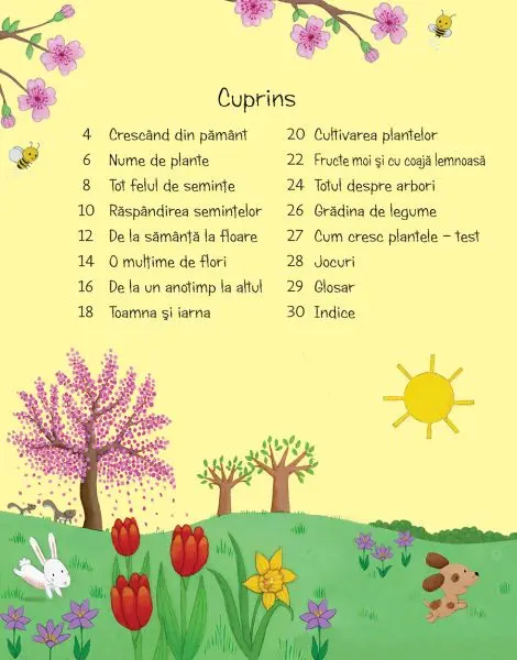 Prima mea carte despre cum cresc plantele (Usborne) – Carte pentru copii