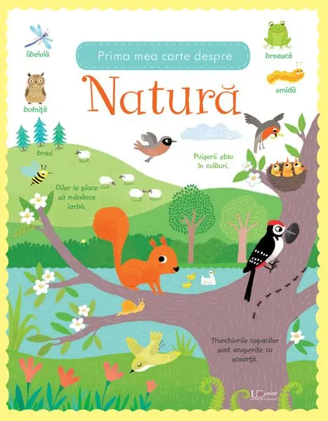 Prima mea carte despre natura (Usborne)