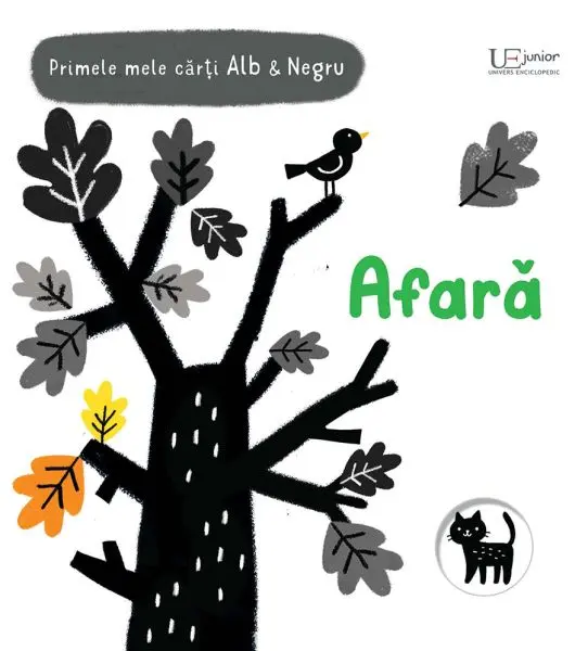 Primele mele carti Alb&Negru - Afara (Usborne)