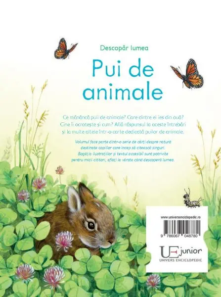 Pui de animale (Usborne) – Carte pentru copii