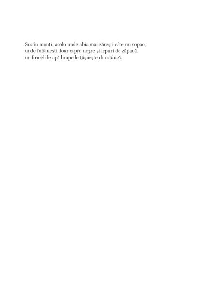 Râul – Carte pentru copii