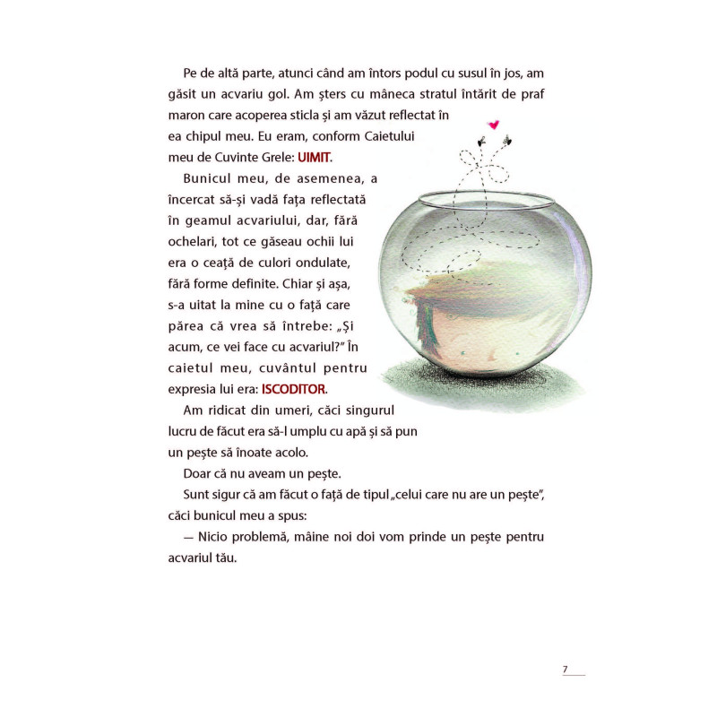 Rechinul din cadă – Carte pentru copii