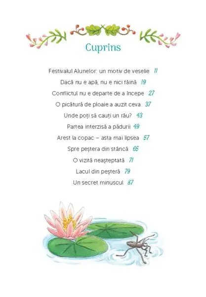 Rubinia Inima-minunata. Raul disparut – Carte pentru copii