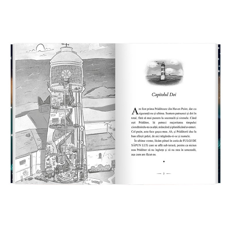 Secretul de la Haven Point – Carte pentru copii